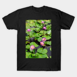 A beautiful water lily pond 3 T-Shirt